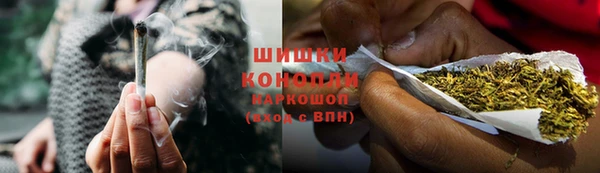 PSILOCYBIN Богданович
