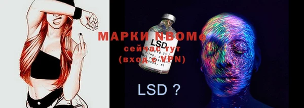 PSILOCYBIN Богданович