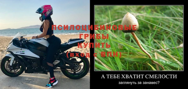 jwh Богородицк