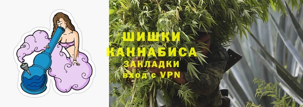 ГАЛЛЮЦИНОГЕННЫЕ ГРИБЫ Богородск